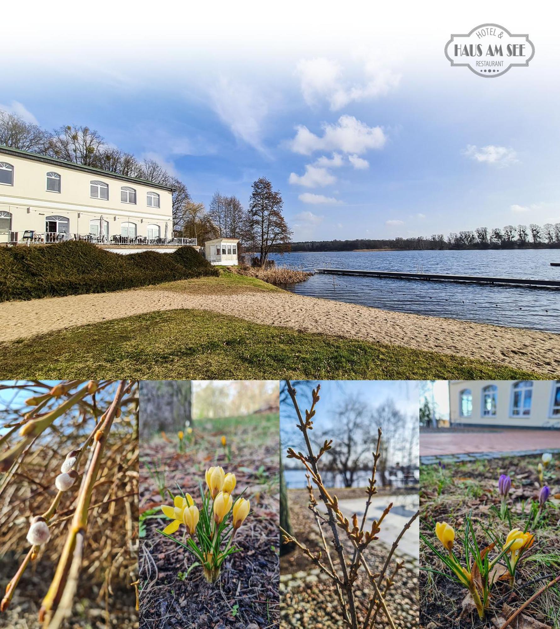 Hotel & Restaurant Haus Am See Locknitz Dış mekan fotoğraf