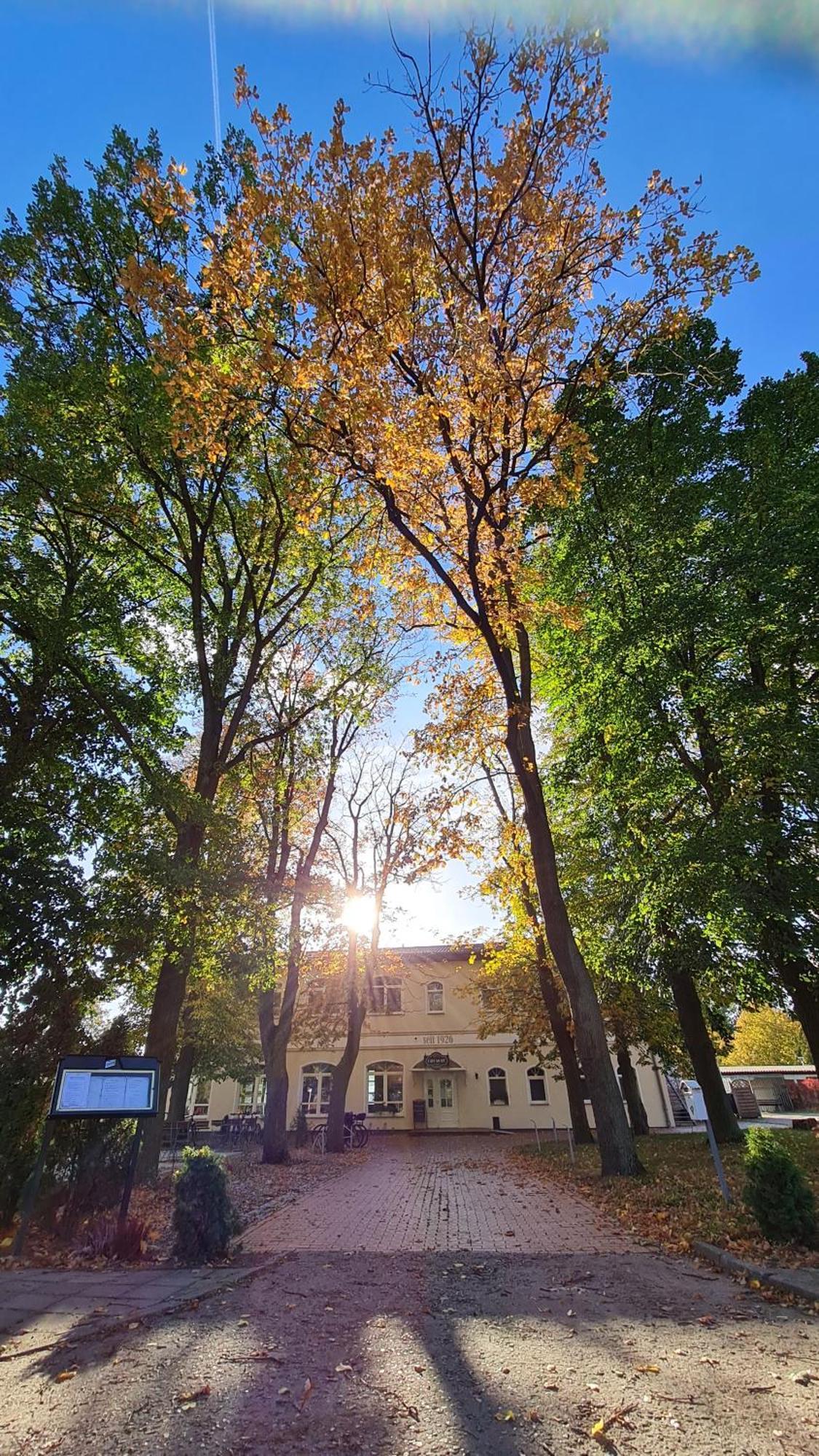 Hotel & Restaurant Haus Am See Locknitz Dış mekan fotoğraf